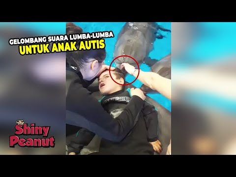 Video: Manusia Bisa Menguasai Ekolokasi Seperti Lumba-lumba. Dan Ternyata Sangat Sederhana - Pandangan Alternatif