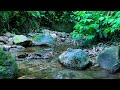 Relaxing River Sound peaceful forest improves mood, Anxiety, relieves stress, helps sleep soundly