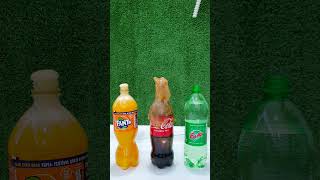 Popular Sodas Coca Cola, Fanta, Fruko and Mentos #short