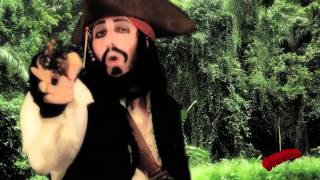 Video thumbnail of "Pirates of the Caribbean Theme Song - Goldentusk"