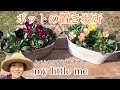 【my little me】食べられる寄せ植えポット