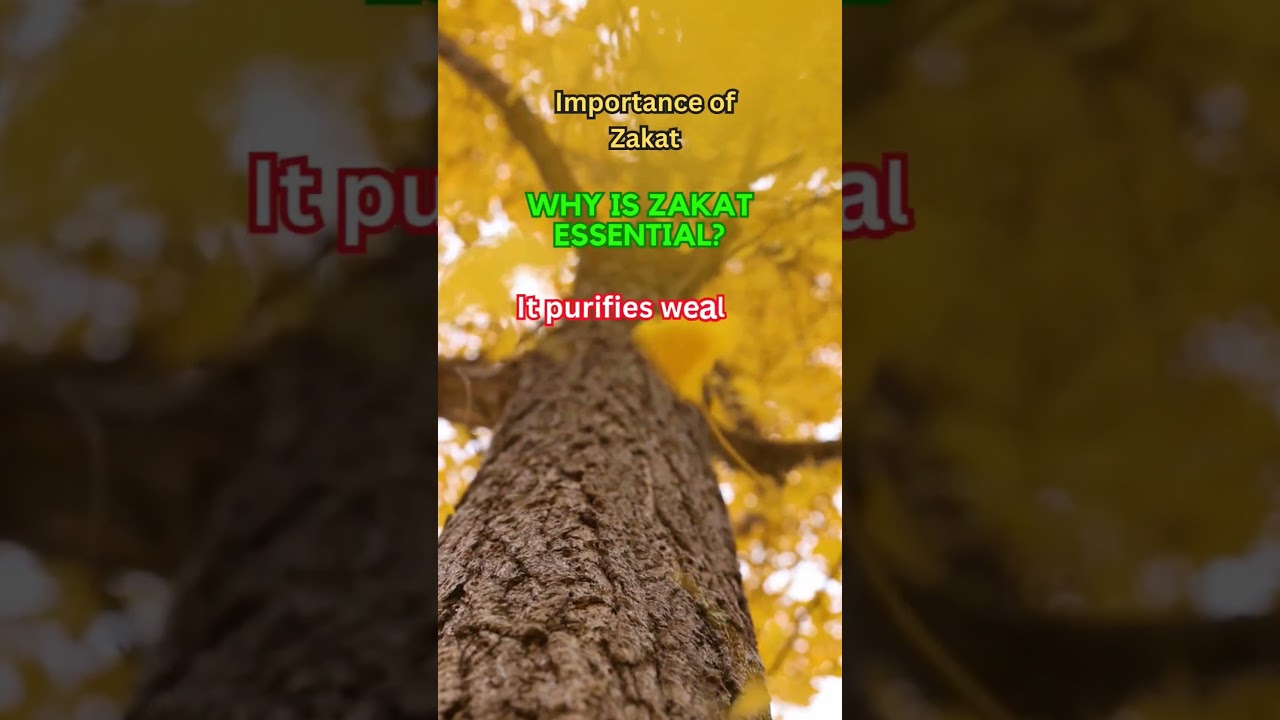 Importance of Zakat: Why is Zakat essential? 