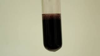 Разложение пероксида водорода под действием дихромата калия