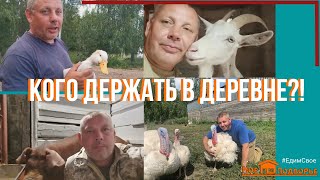 СТРИМ. Каких животных я держу в ДЕРЕВНЕ и ПОЧЕМУ? "Мое Подворье" (повторная попытка)