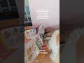 kaniva dry food grain food indoor formula #kaniva #petfood #makanankucing #RacunShopee