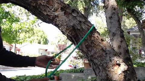 Clove Hitch for Rigging