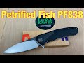 Petrified Fish PF838 / includes disassembly / great quality budget user !