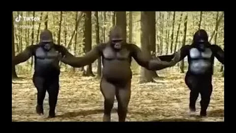 somebody come get her she’s dancin like a stripper tiktok memes