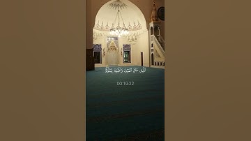 من هو قارئك مفضل