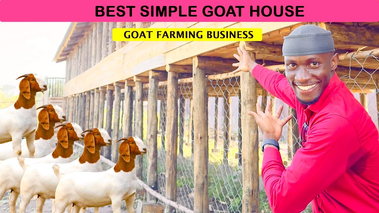 How to setup A Proper STANDARD Goat House in AFRICA| Detailed Video| 2024