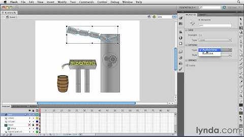 flash cs5 bone  runtime