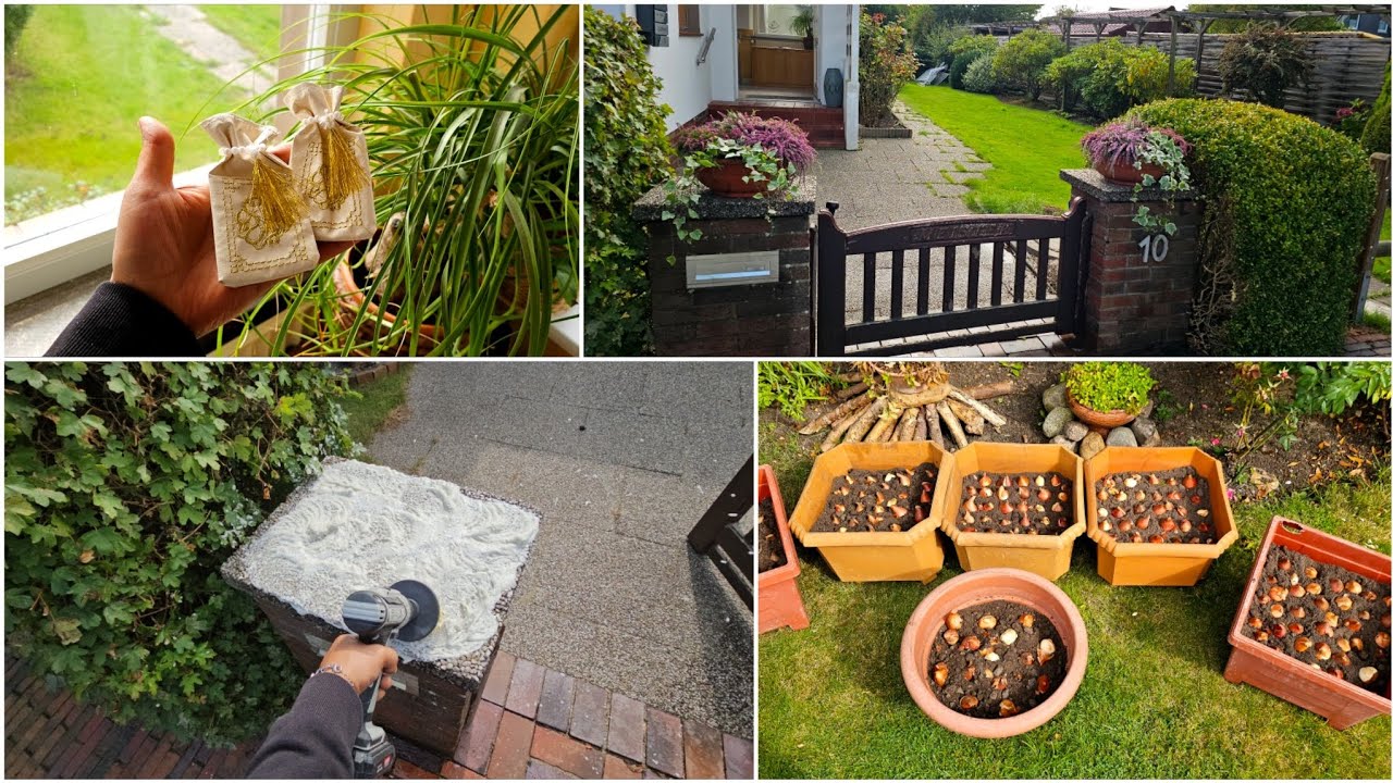 فديو خريفي 🍂 زراعة خريفية، نظفت وزينت باب البيت وأحلا هدية وصلتني من مجهول🤷‍♀️