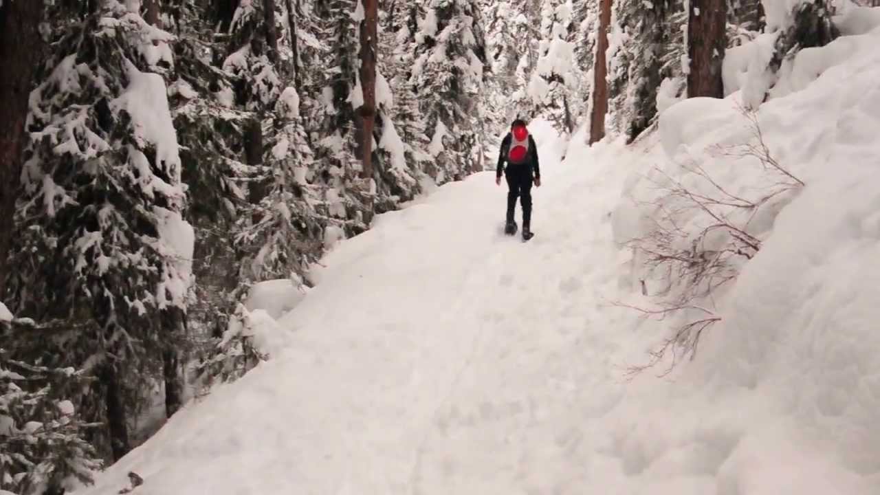 20090110 Lake Agnes Snowshoeing YouTube