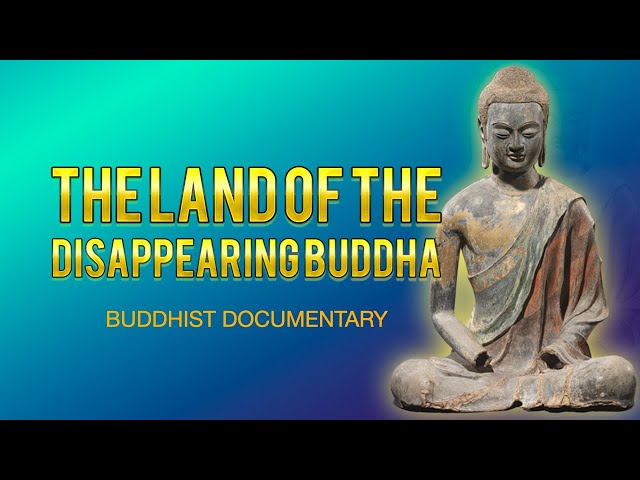 (未使用･未開封品)Zen Buddhism: In Search of Self [DVD] Amazon.com: Zen Buddhism: In Search of Self [DVD] : Zen Buddhism