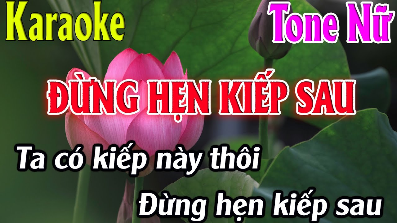 Karaoke Đừng Hẹn Kiếp Sau Karaoke Tone Nữ Beat Chuẩn Nhất 2025 Karaoke Thanh Kiệt