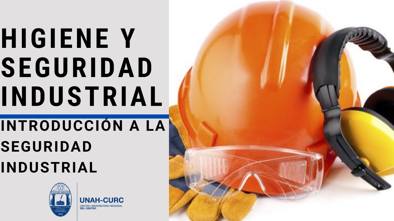 Introduccion De Seguridad E Higiene Industrial www.youtube.com