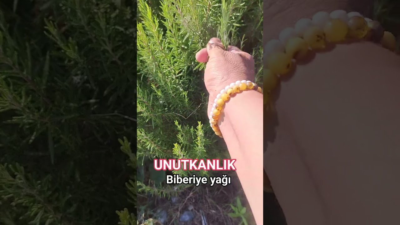 #unutkanlık #biberiye #pratikbilgiler #pratiktarifler #magnezyum  #yemektarifleri