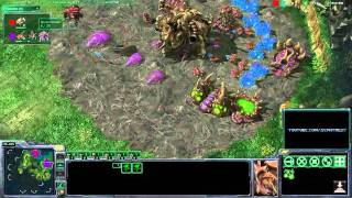 PS - Glade vs Soft - game 1 - p1/2 screenshot 2
