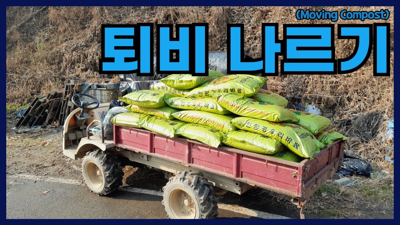 퇴비 나르기.