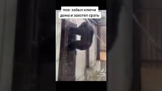 Яка сувора правда #любовь #зож #жиза #shorts