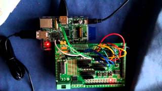 Gertboard lights the LEDs