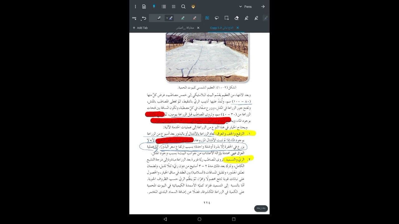 الفصيلة القرعية 