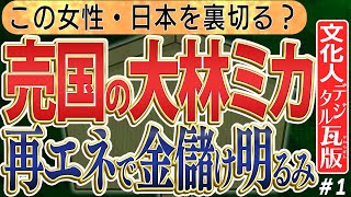 【黒幕明るみに…大林ミカ氏】中国企業と再エネで金儲けに走っているなんて、根が深い電気料金と再エネ。①　◆文化人デジタル瓦版◆
