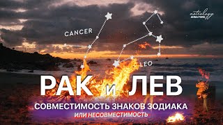 РАК И ЛЕВ СОВМЕСТИМОСТЬ ЗНАКОВ ЗОДИАКА