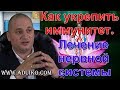 Как укрепить иммунитет. Лечение поджелудочной железы и нервной системы. Тибетская Формула