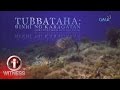 I-Witness: ‘Tubbataha: Binhi ng Karagatan,’ dokumentaryo ni Kara David (full episode)