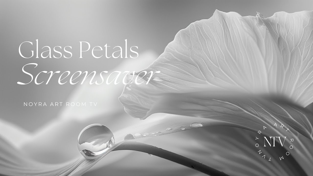 Glass Petals 4K | Minimalist Eerie Misty Scenes TV Art Screensaver | 7 Scenes - 2 Hours