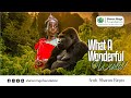 AMB. SHARON RINGO: WHAT A WONDERFUL WORLD