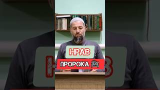 Нрав Пророка ﷺ #коркмаскала