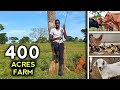 Our 400 Acre Livestock Farm! - Cattle, Chickens, Goats, Sheep
