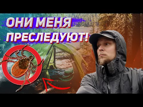 Video: Виттен кайгы