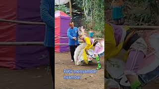 Download Lagu CAHYA MUDA NIH BOS MP3