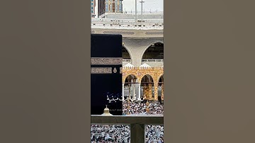 أفمن حق عليه كلمة العداب .❤️ #تلاوة_خاشعة #ياسرالدوسري #قرانكريم #ارحقلبك #قرآن #قران #تلاوات #لايك