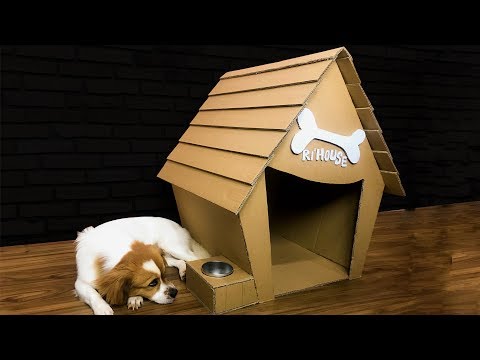 Video: Doggy house for en hund ut av esken: ideer, instruksjoner for å lage og dekorere