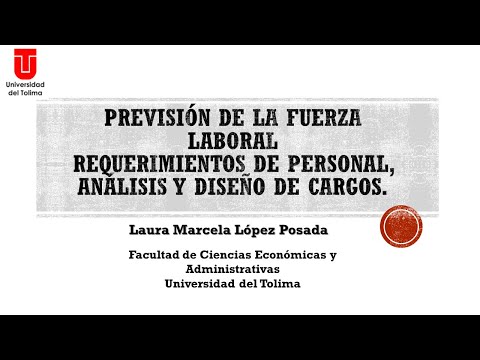 Cómo Convertirse En Analista De La Fuerza Laboral