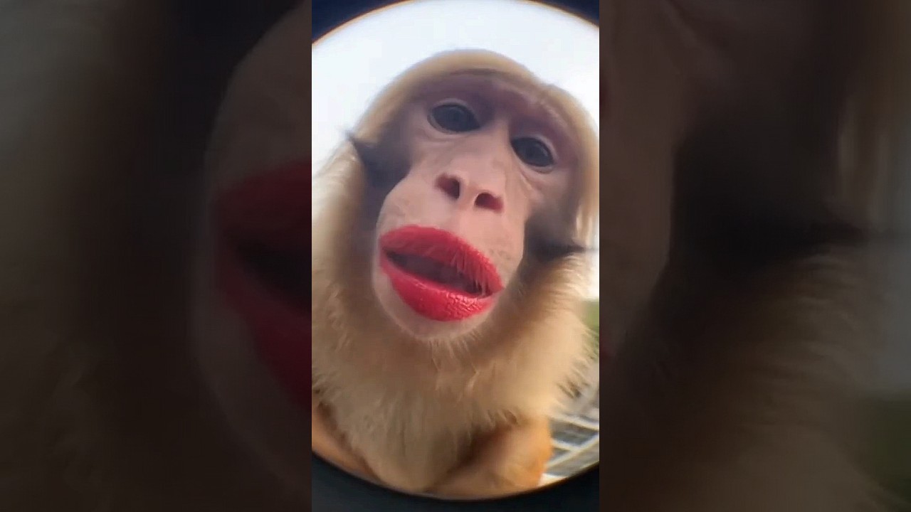 Попробуйте не засмеяться! Задание 468 🤣 