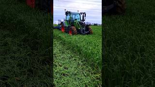 Cover Crop Destruction with a Tractor: How a Rotary Harrow Works