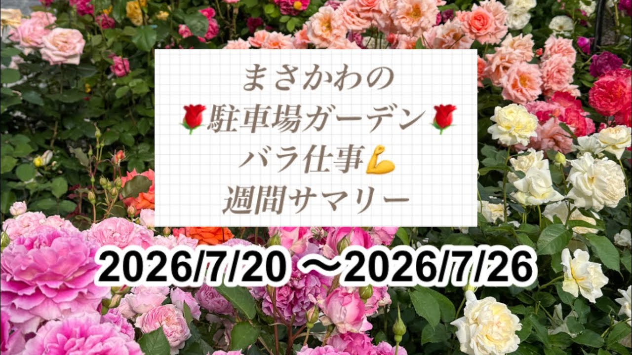 SEKAINOOWARI バラ売りできるのでコメントください YouTube