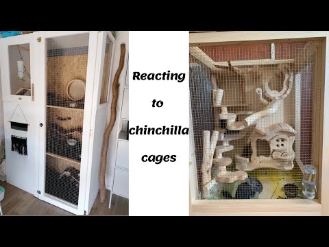 Video: Paano Gumawa Ng Chinchilla Cage