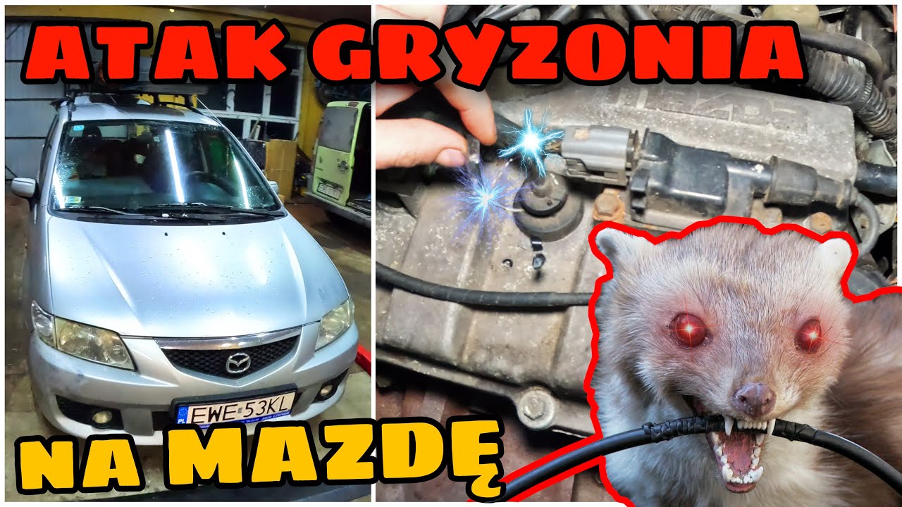 Padło SPRZĘGŁO w drodze na ŚLĄSK... Poparzyłem się KWASEM, czyli PECHOWY odcinek... Odc.206