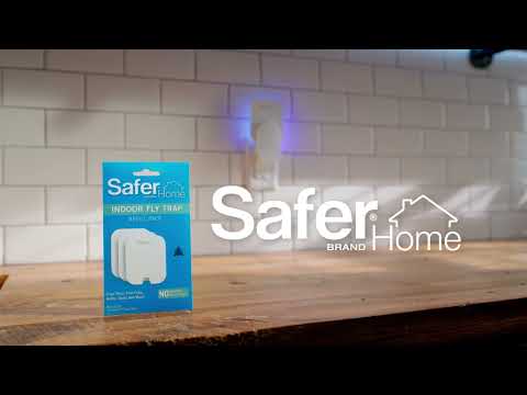 Safer® Home Indoor Fly Trap 1 Year Bundle