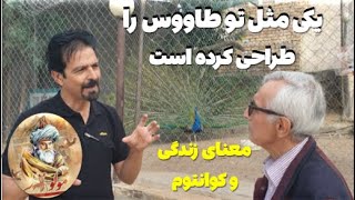 تفسیر شعر مولوی در مورد طاووس / فیزیک کوانتوم در اشعار مولوی / آمده ای که آفزیننده شوی