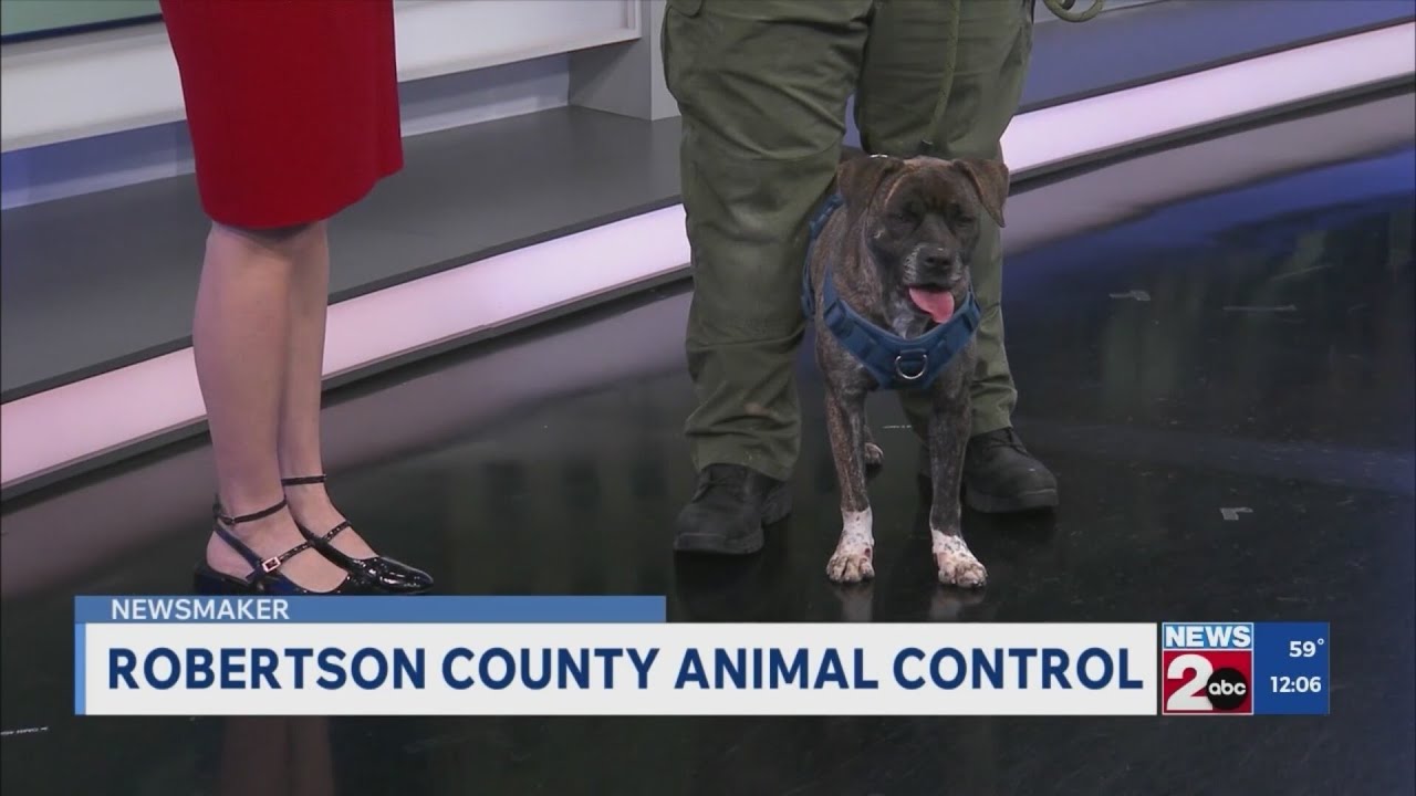 Newsmaker: Robertson County Animal Control