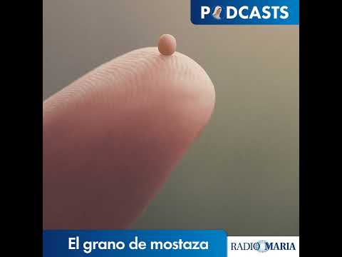 El grano de mostaza 23/09/26