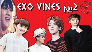 Exo vines №2 (compilation)
