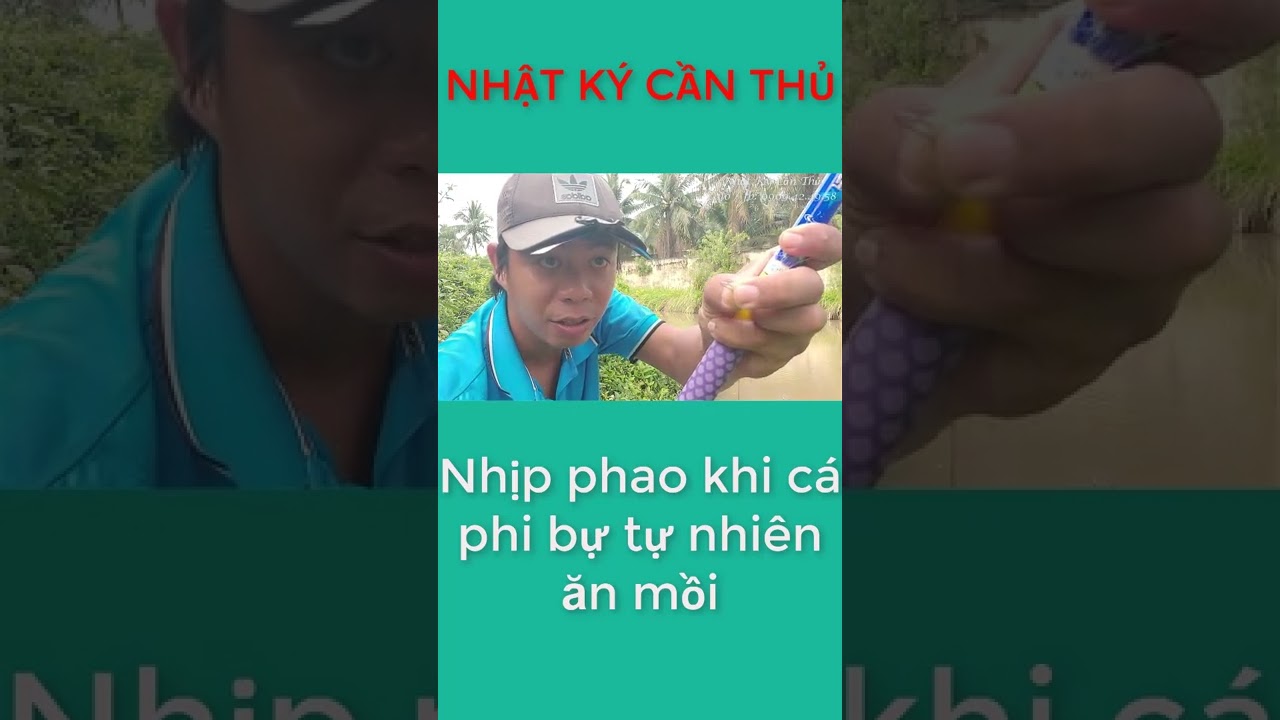 #short - Cận cảnh nhịp phao cá rô phi bự tự nhiên ăn... - youtube